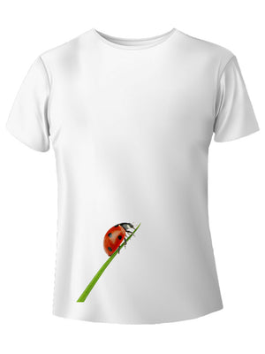 Coccinella t-shirt