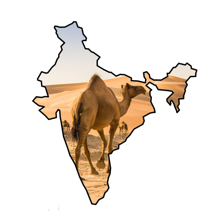 Deserto del Thar